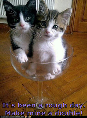 Double Kitten, Neat, Please!