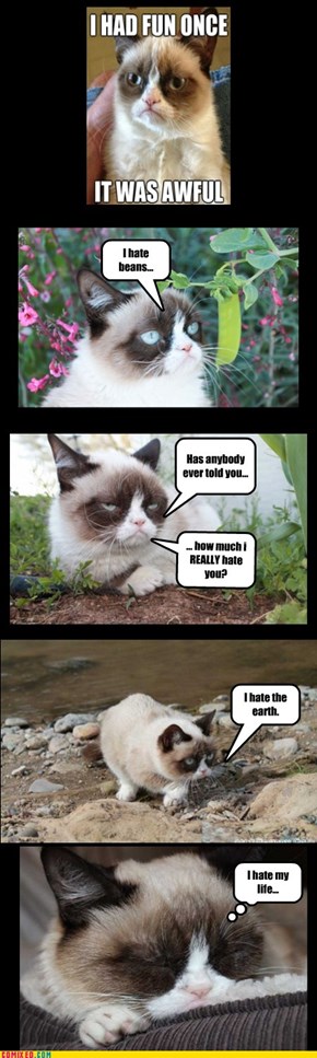 The many hated things of Grumpy Cat....