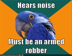 Hears noise  Must be an armed robber