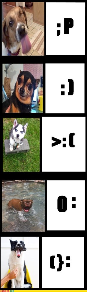 Dog emotionconz...