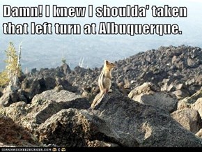 Damn! I knew I shoulda' taken that left turn at Albuquerque.