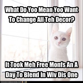 Do Yoo Know How Hard it is to Find Decor in Kitteh Fur White?