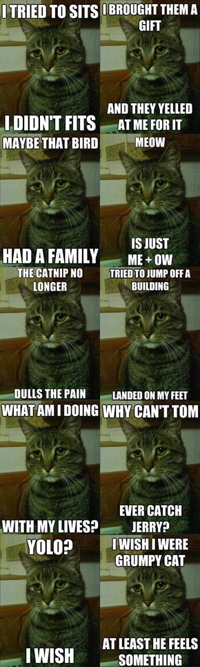 Best of Depressed Cat Meme