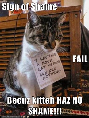Sign of Shame    FAIL Becuz kitteh HAZ NO SHAME!!!