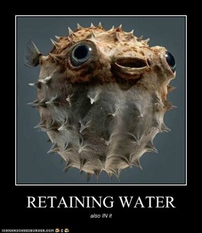 RETAINING WATER