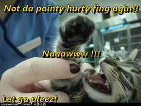 Not da pointy hurty fing agin!! Naaawww !!! Let go pleez!