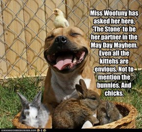 Miss Woofuny has asked her hero, 'The Stone' to be her partner in the May Day Mayhem. Even all the kittehs are envious. Not to mention the bunnies. And chicks.
