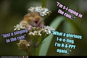 "I'm s-i-nging in the rain..."
