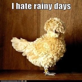 I hate rainy days