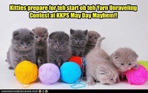 Kitties prepare for teh start ob teh Yarn Unraveling Contest at KKPS May Day Mayhem!!