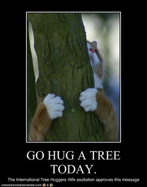 GO HUG A TREE TODAY.