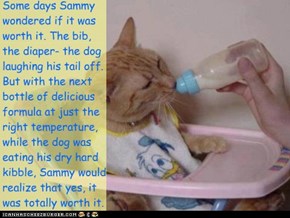 Some days Sammy wondered if it was worth it. The bib,  the diaper- the dog laughing his tail off. But with the next bottle of delicious formula at just the right temperature, while the dog was eating his dry hard kibble, Sammy would realize that yes, it w