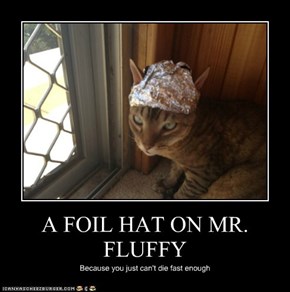 A FOIL HAT ON MR. FLUFFY
