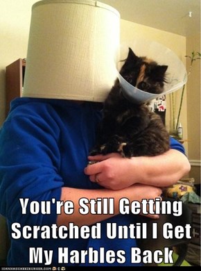 You're Still Getting Scratched Until I Get My Harbles Back