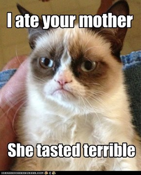 Happy Mother's Day From Grumpy Cat!