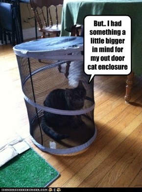 But.. I had something a little bigger in mind for my out door cat enclosure