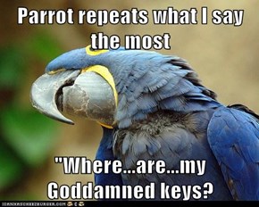 Parrot repeats what I say the most
