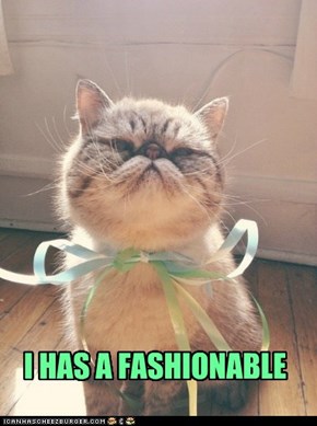 I HAS A FASHIONABLE