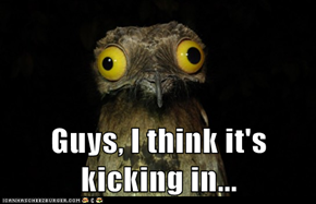 Guys, I think it's kicking in...