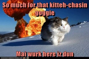So much for that kitteh-chasin goggie  Mai wurk here iz dun