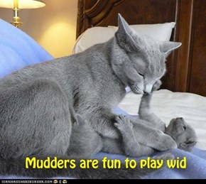 Why we luv our Mudders - 9