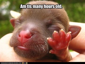 Am tis many hours old.