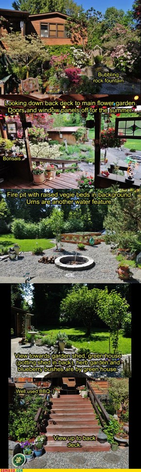 My "Priceless Yard" - Back