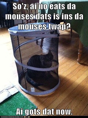 So'z, ai no eats da mouses dats is ins da mouses twap?  Ai gots dat now.