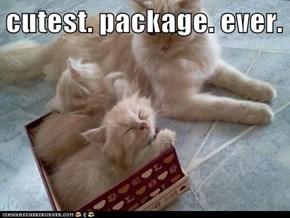 cutest. package. ever.