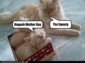 Happeh Mother Day
