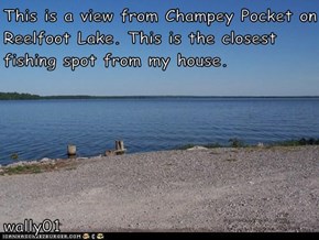 This is a view from Champey Pocket on Reelfoot Lake. This is the closest fishing spot from my house.                                             wally01