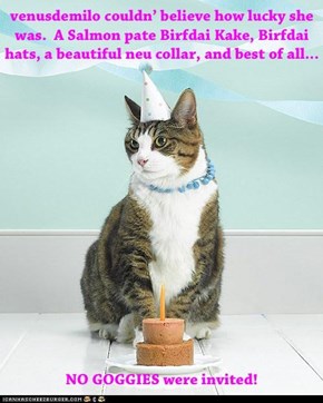 Hope yu hav a very happee Birfday, Venusdemilo!