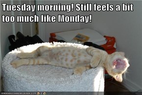 Tuesday morning! Still feels a bit too much like Monday!