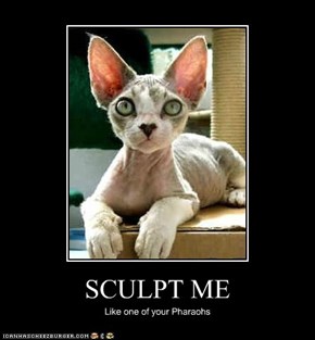 SCULPT ME