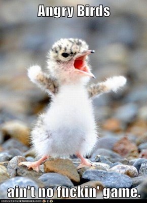 Angry Birds  ain't no fuckin' game.