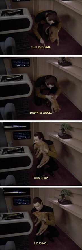 Data Trains His Cat