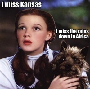 Oh, Toto...