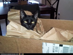 You really CAN get everything on Amazon nowadays!