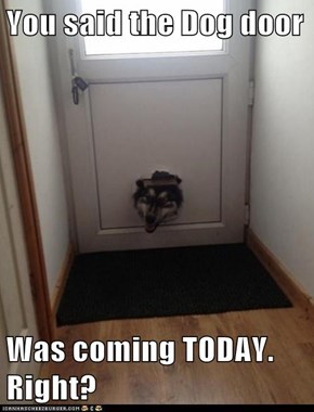 You said the Dog door  Was coming TODAY. Right?