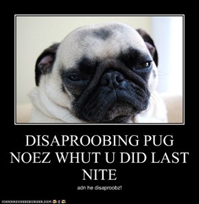 DISAPROOBING PUG NOEZ WHUT U DID LAST NITE