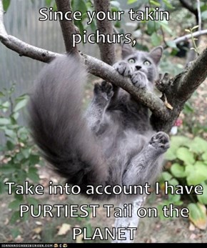 Since your takin pichurs,  Take into account I have PURTIEST Tail on the PLANET