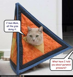 C'mon Mom, all the giza doing it.