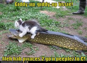 Giddy-up, giddy-up fissie!  Meh hab pwaces 2 go n peeplez to C!