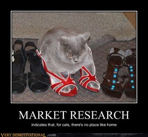 MARKET RESEARCH