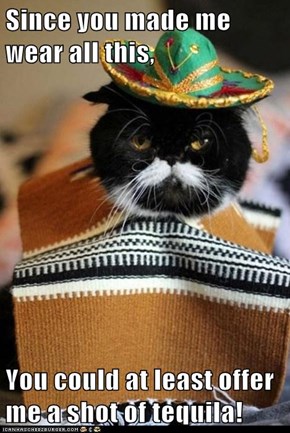 Since you made me wear all this,  You could at least offer me a shot of tequila!