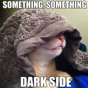 Something Something Dark Side