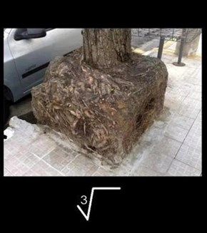 Cube Root