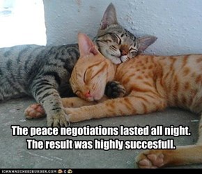 The peace negotiations lasted all night.
