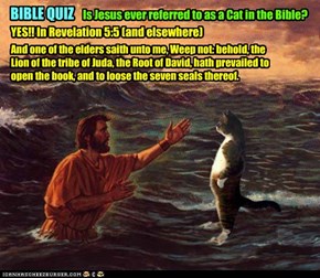 Is Jesus a LOLCat?