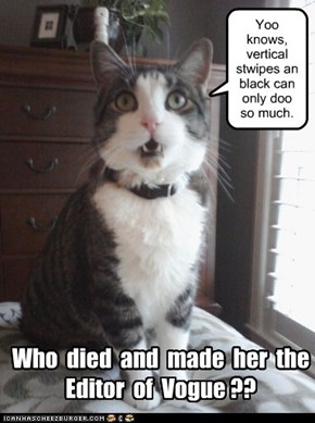 Fashion critic kitteh gives her unwanted opinion.
